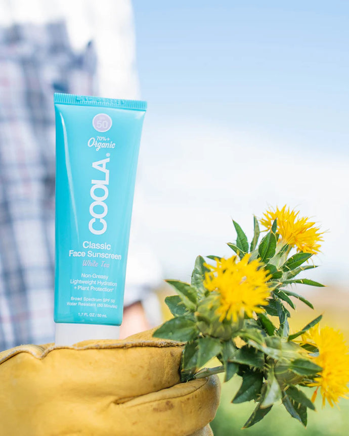 Coola Face Sunscreen Lotion White Tea